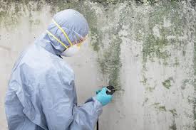 Professional Mold Remediation in Norwood, PA